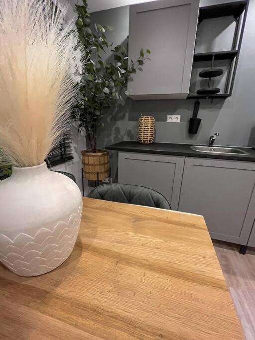 Gezellig Appartement, Gerenoveerd Eind 2022 Тилбург Екстериор снимка